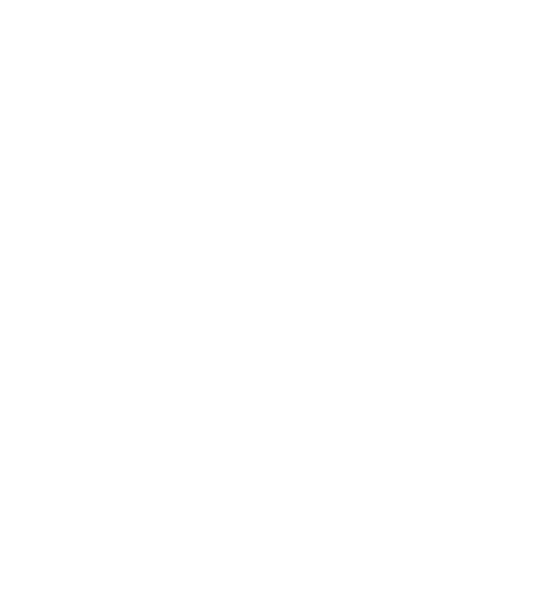 Logo smaio white